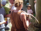 Klicken Sie auf das Bild, um es zu vergrößern